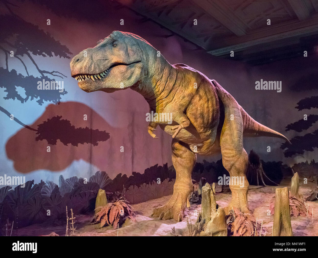Tyrannosaurus rex. Animatronic T.Rex in the Dinosaurs Gallery, Natural History Museum, London. Stock Photo