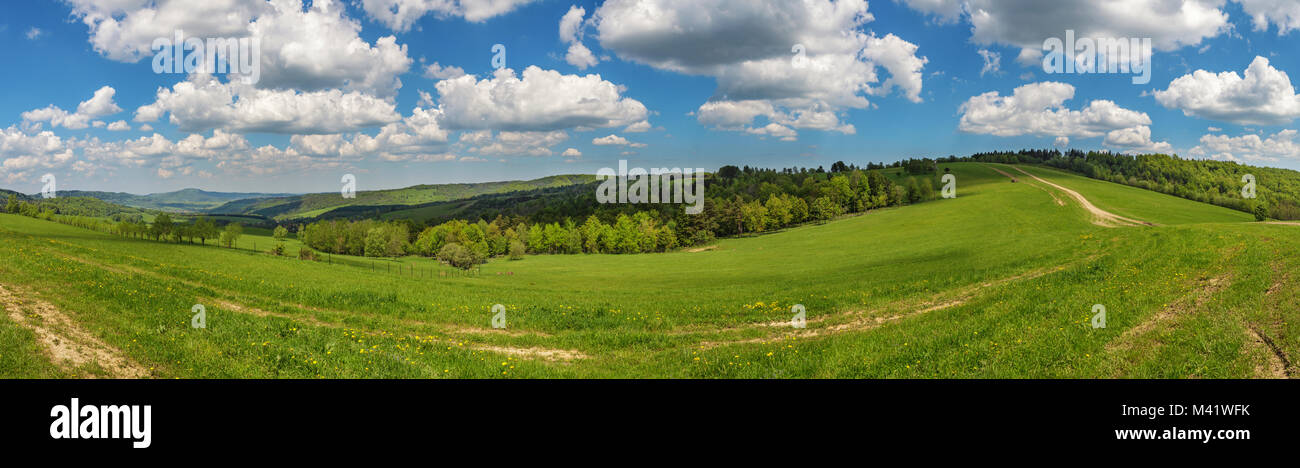 Blue cloudy sky over green fields and forest Stock Photo