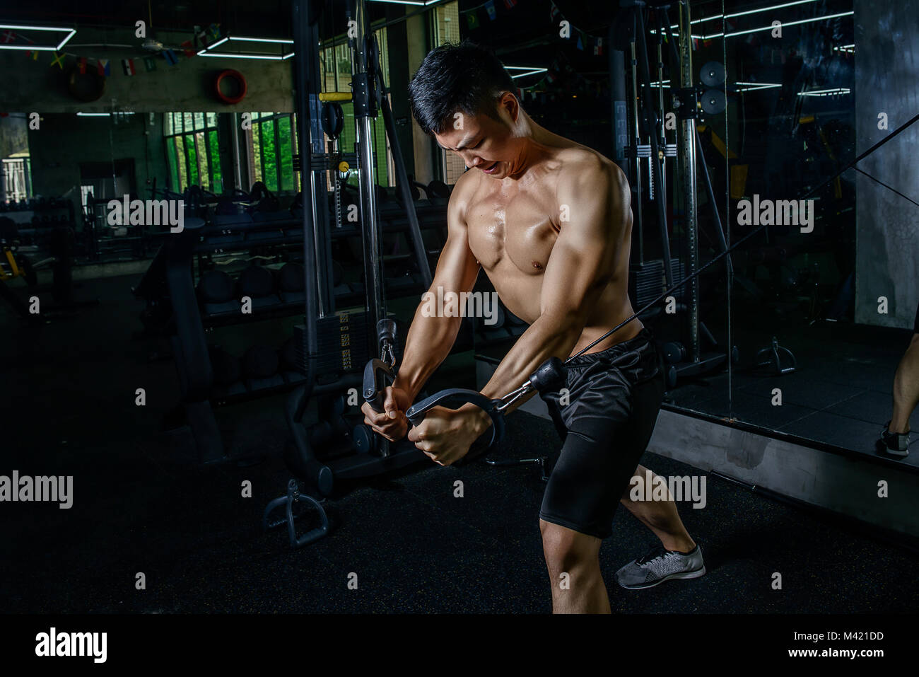 Sports handsome young Asian man doing exercises on his chest at the crossover in the gym. Athlete man with cool big muscles. Stock Photo