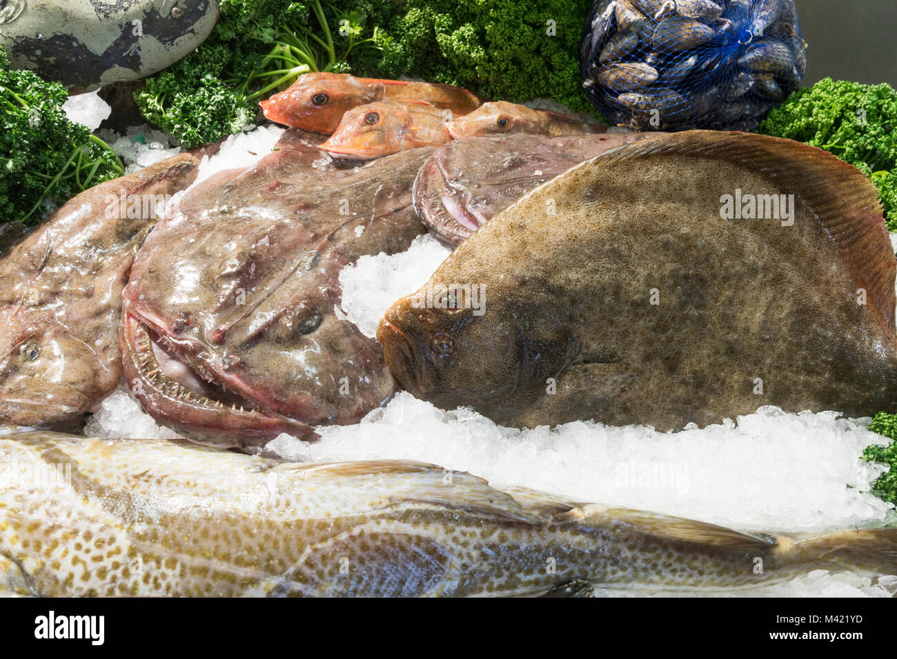 Fishmonger's slab, North Shields, north east England, UK Stock Photo