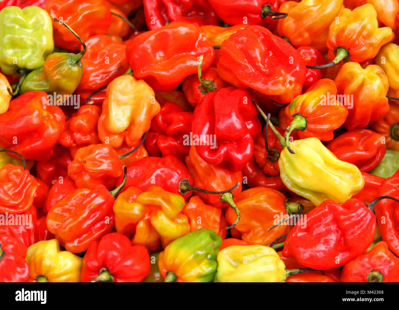 Caribbean sold hires stock photography and images Alamy
