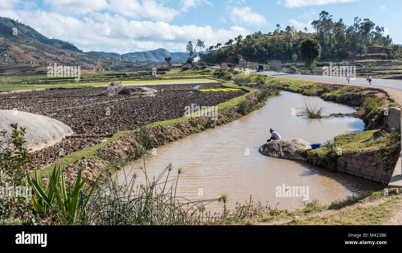 Madagascar Rual Paddy Fields and Girl Doing Laundry, Rural Landscape, Southern ...