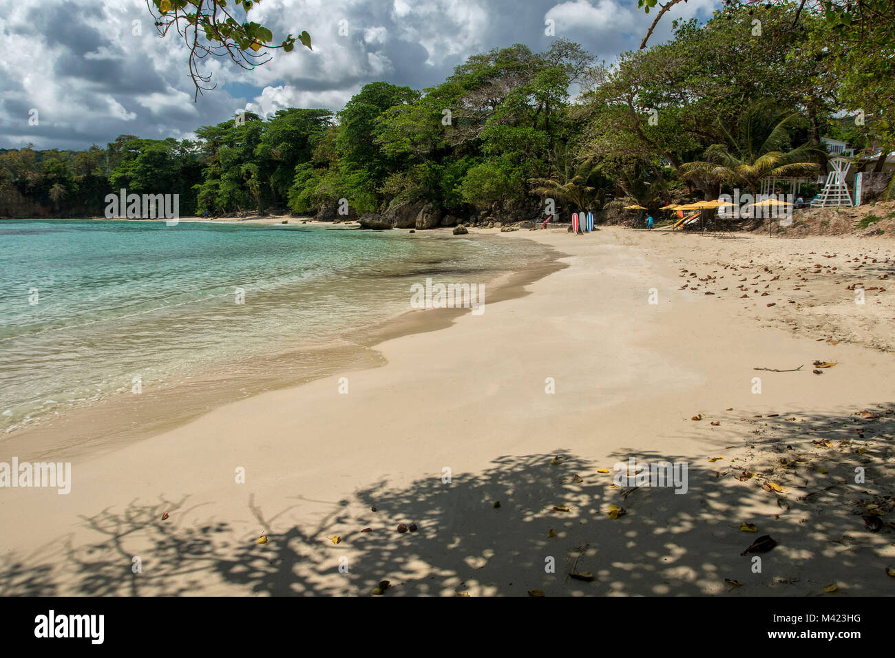 Almond local beach landscape, Portland, Jamaica, West indies, Caribbean Stock Photo Alamy Almond local beach landscape, Portland, Jamaica, West indies, Caribbean Stock Photo Alamy