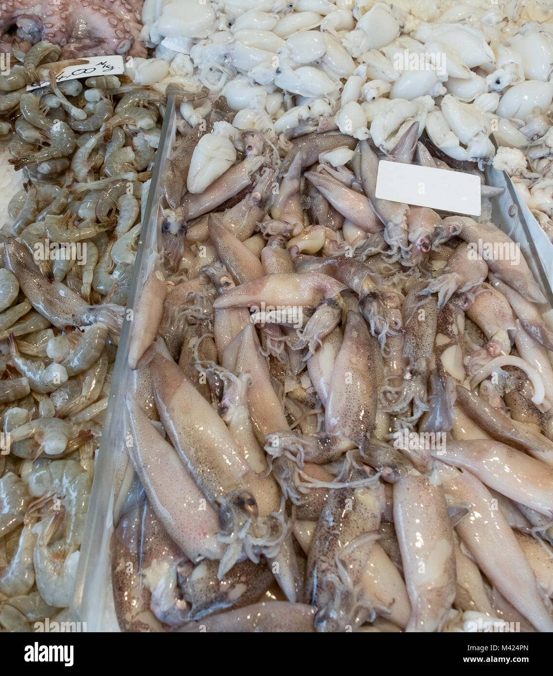 mixed fish counter. Various molluscs: Cuttlefish, squid and shrimp. The display of the fish counter is divided by glass sides. View from above. Stock Photo