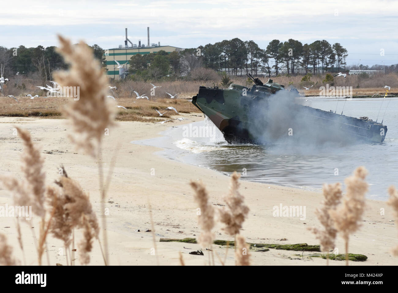 180210-N-FF140-001 NORFOLK, Va., (Feb. 10, 2018) -- Marines assigned to 4th Marine Division, 1st Platoon, perform an attack-the-beach maneuver in an amphibious assault vehicle during a training exercise at Joint Expeditionary Base Little Creek. The semi-annual exercise supports the division's mission to provide trained combat support personnel to augment the active component in time of war or national emergency. (U.S. Navy photo by Mass Communication Specialist 2nd Class Jacob D. Galito/Released) Stock Photo