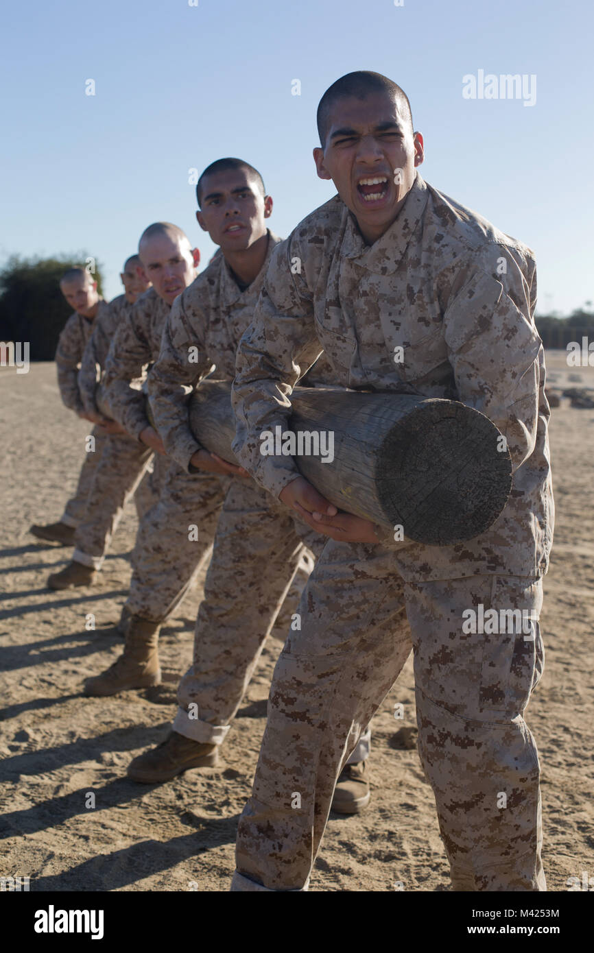 Recruits with Kilo Company, 3rd Recruit Training Battalion, perform log drills at Marine Corps Recruit Depot San Diego, Jan. 22. Each exercise helped recruits develop cardiovascular endurance and prepare for future physical endeavors. Annually, more than 17,000 males recruited from the Western Recruiting Region are trained at MCRD San Diego. Kilo Company is scheduled to graduate March 16. Stock Photo