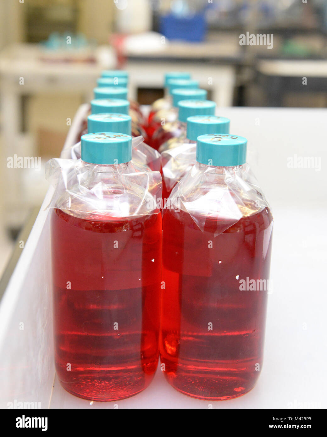 Samples Of Hydraulic Fluid From F 16 Fighting Falcon Are Verified For Stock Photo Alamy