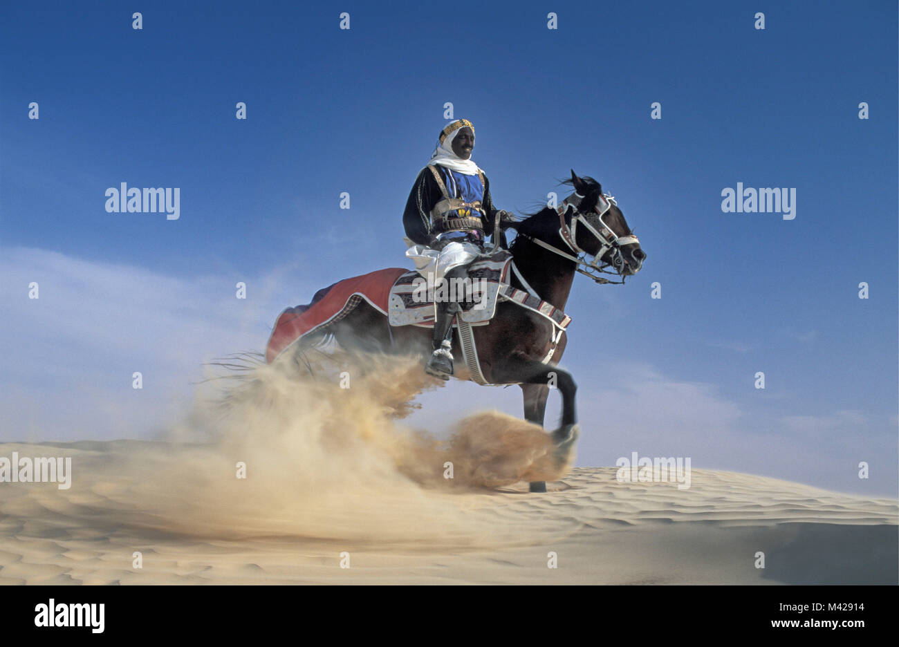 Tunisia. Douz oasis. Sahara desert. Man riding horse,  in sand dunes, trailing sand cloud, dressed for festival. Stock Photo