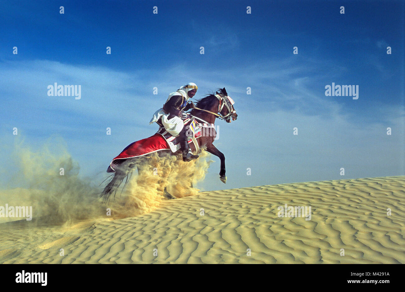 Tunisia. Douz oasis. Sahara desert. Man riding horse,  in sand dunes, trailing sand cloud, dressed for festival. Stock Photo