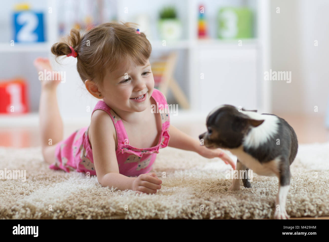 The child playing with the dog lying on floor at home Stock Photo