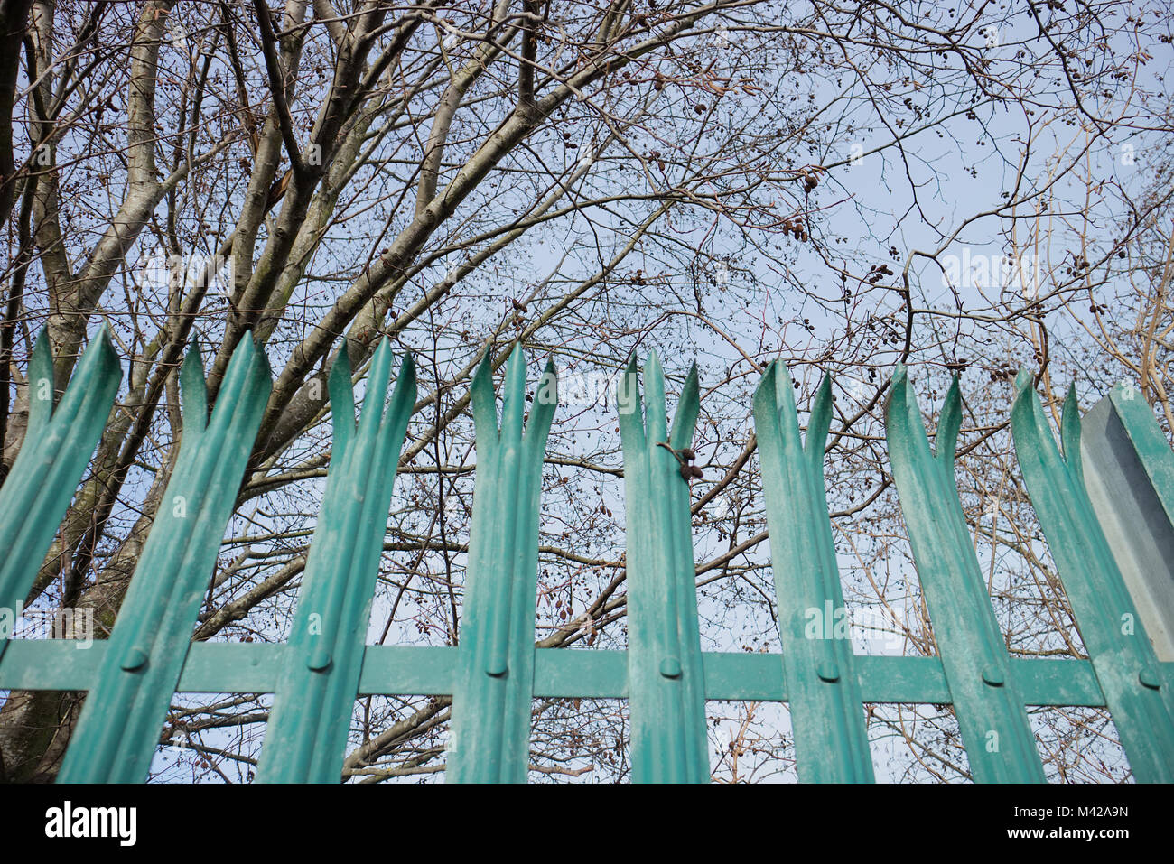 A pretty teal gate surrounded by trees with a blue sky background. The shot was taken close to Edinburgh Park, Scotland. Stock Photo