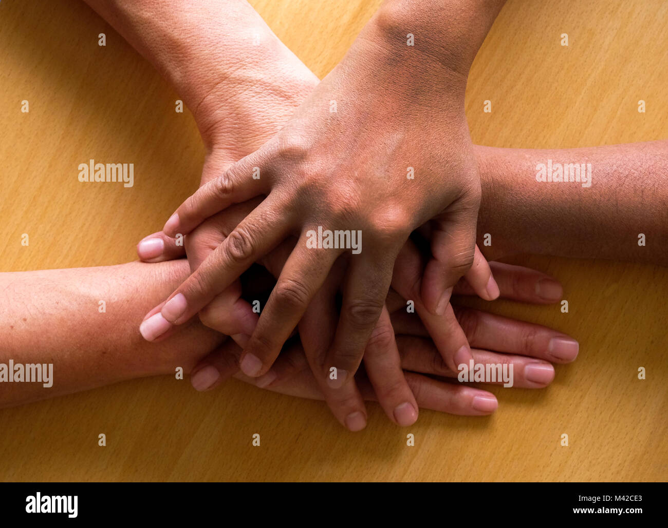 looking down on four fifty year old female hands placed ontop of each other, the top hand and third hand are Asian and the second and fourth hand are  Stock Photo