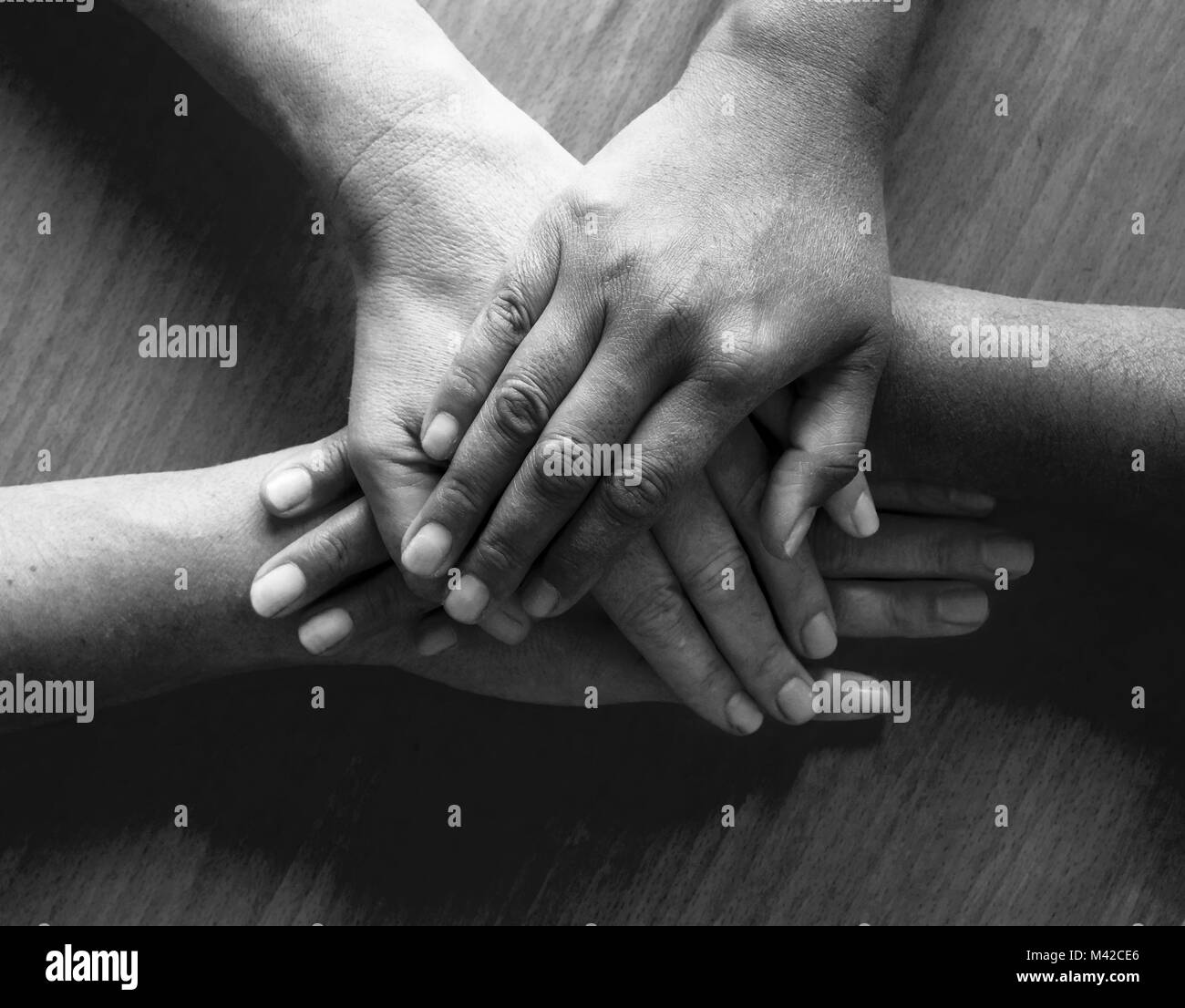 looking down on four fifty year old female hands placed ontop of each other, the top hand and third hand are Asian and the second and fourth hand are  Stock Photo