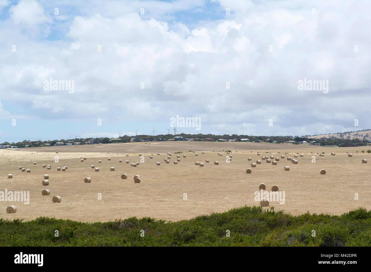 Coastal farm hi-res stock photography and images - Alamy