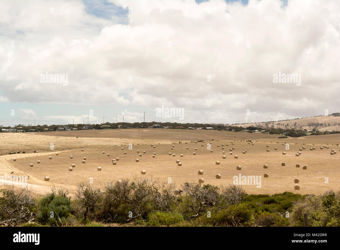 Coastal farm hi-res stock photography and images - Alamy