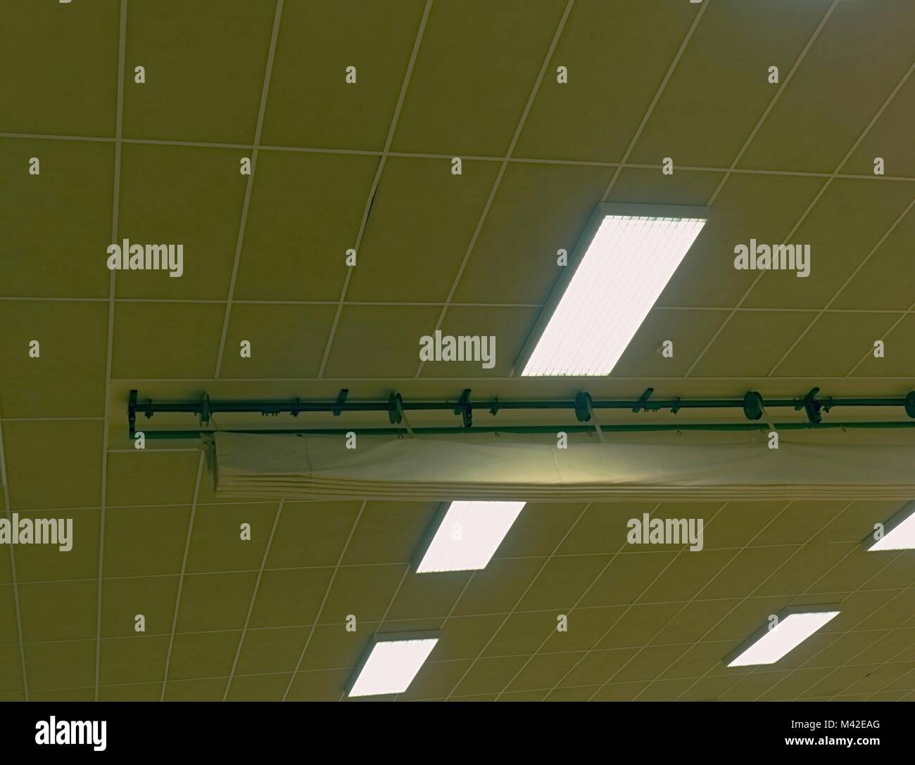 Lighted panel of mercury fluorescent lamp tubes. Lights system in line