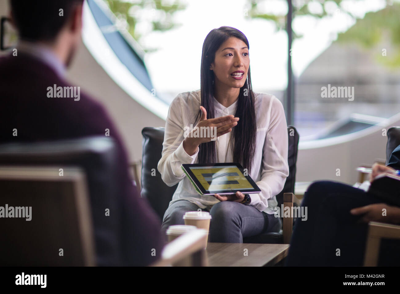 Businesswoman leading a meeting Stock Photo