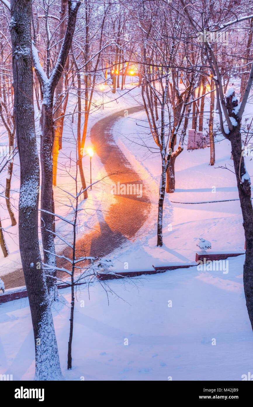 A path among the snow in a winter park among trees Stock Photo - Alamy