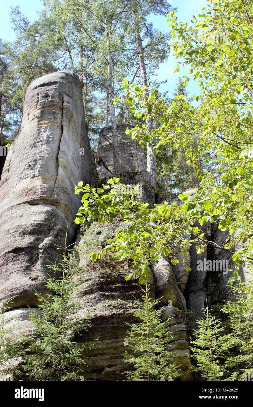 In the foreground are trees in the background is the rock. Stock Photo