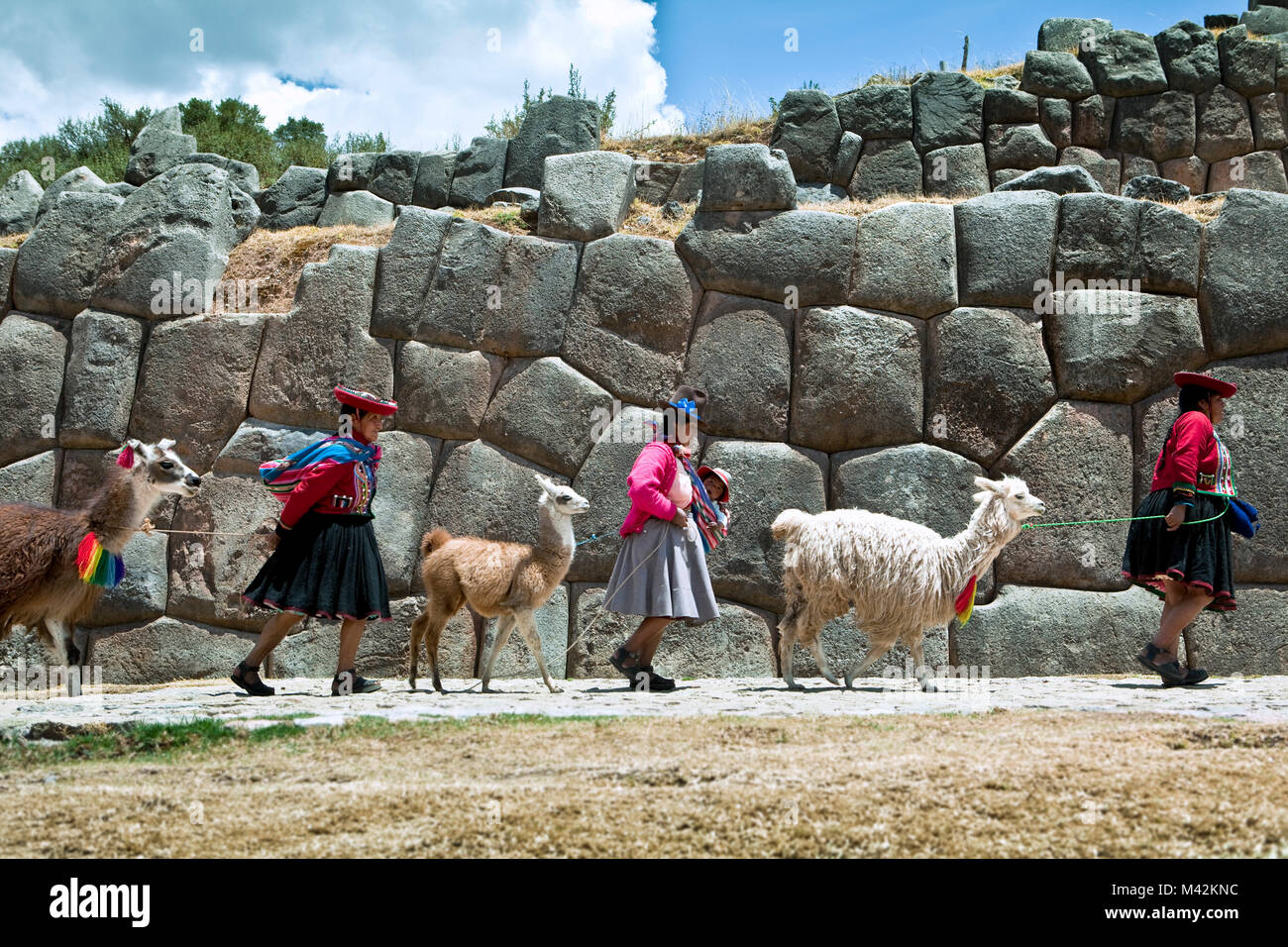 Peru, Cusco, Cuzco, Saqsayhuaman, Sacsayhuaman, Sacsaywaman. Indian women with llamas and Alpaca.  Unesco World Heritage Site. Stock Photo