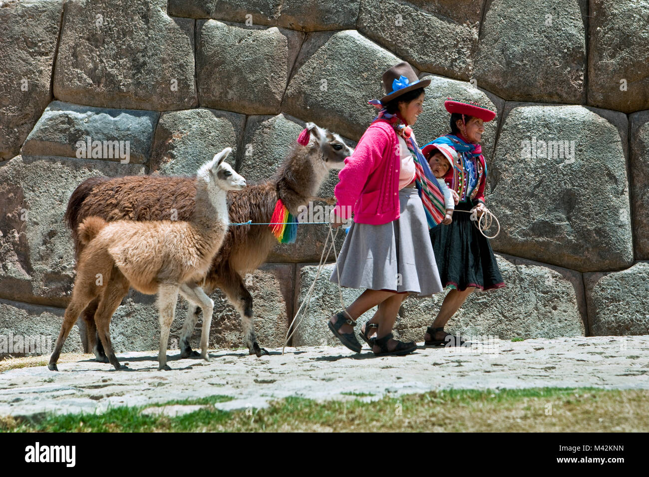 Peru, Cusco, Cuzco, Saqsayhuaman, Sacsayhuaman, Sacsaywaman. Ruins. Unesco World Heritage Site. Indian women and baby with llamas. Stock Photo
