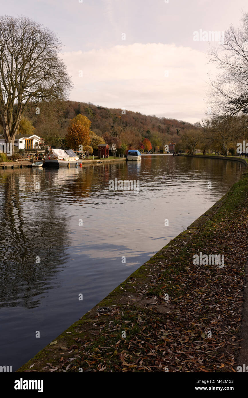 An image of the Autumn Leaves alongside the River at Henley-on-Thames, Oxfordshire, England, UK Stock Photo
