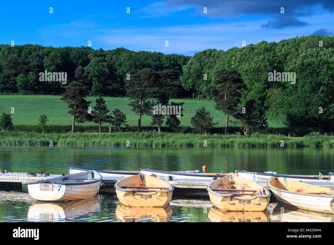 An image of rowing boats for hire at Thornton Reservoir, Leicestershire, England, UK Stock Photo