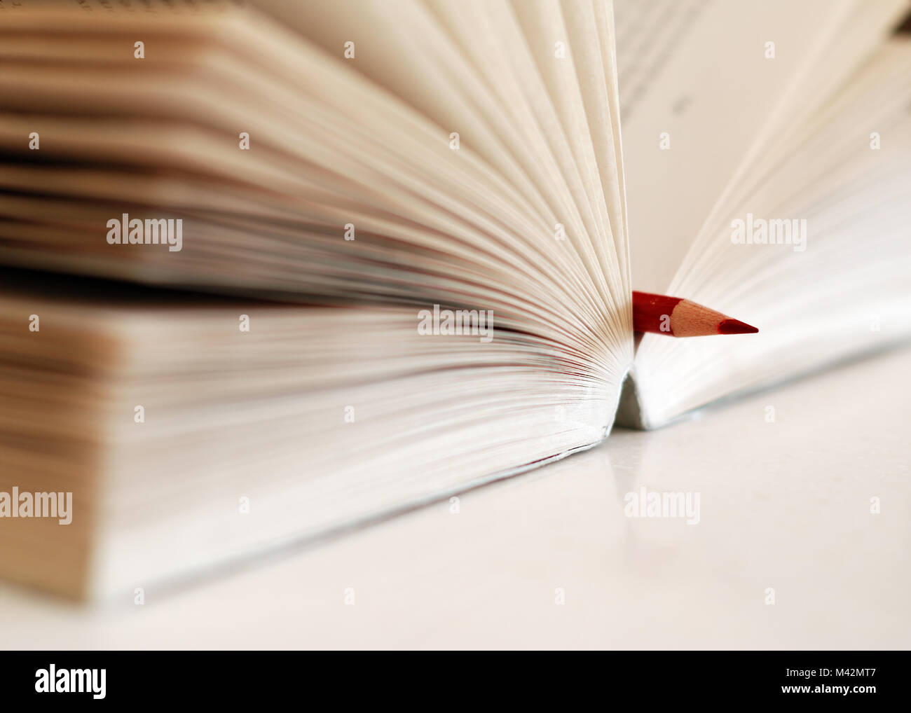 Open book with red pencil Stock Photo
