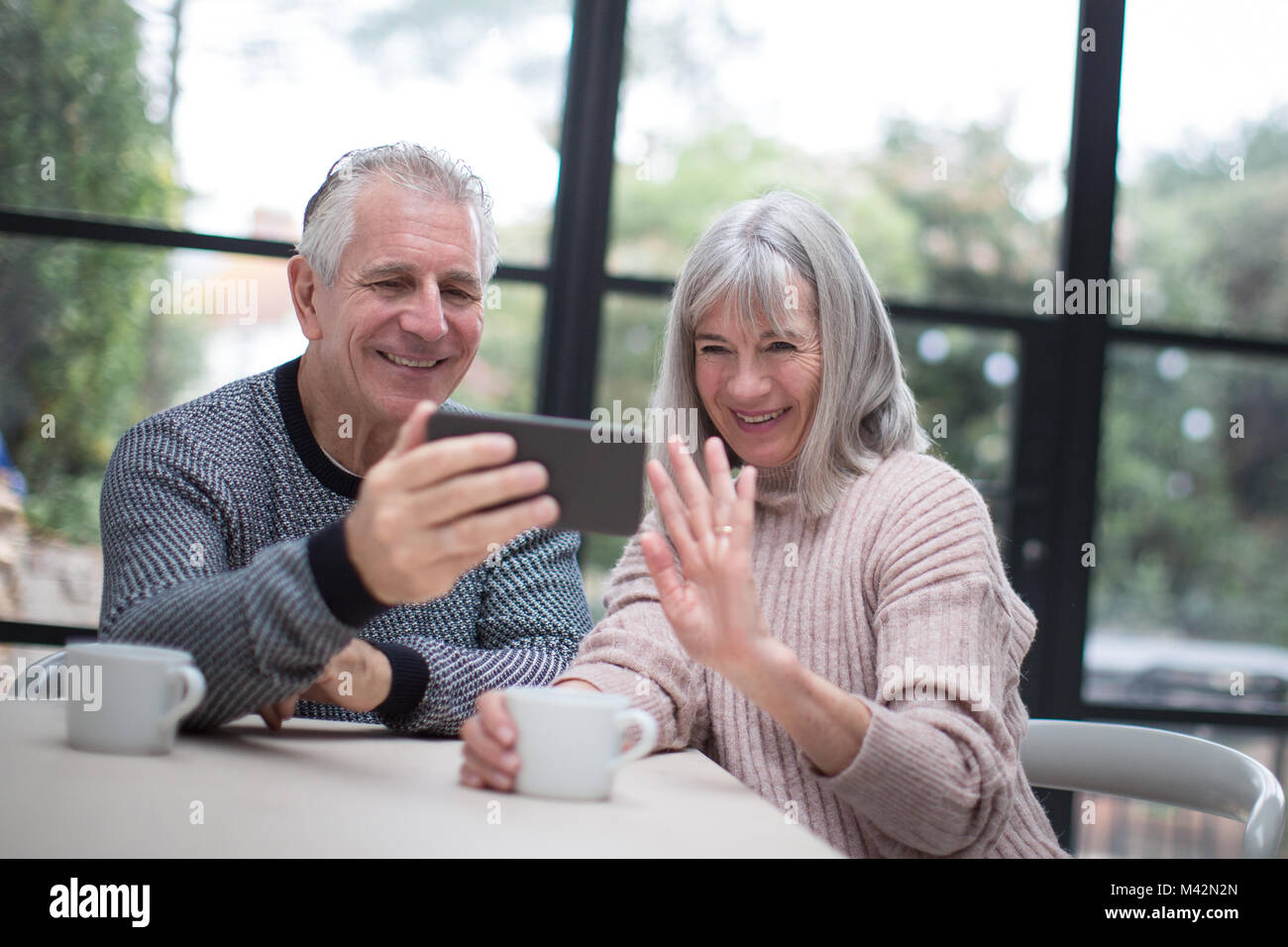 Senior couple on a videocall Stock Photo