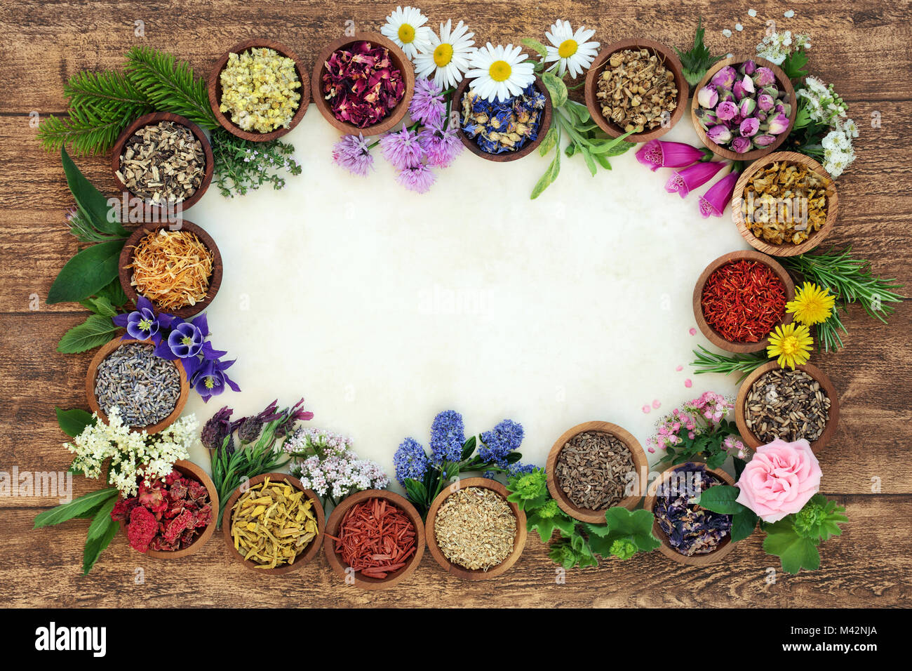 Herbal medicine background border with flowers and herbs used in natural  alternative remedies with fresh herbs and flowers on parchment paper Stock  Photo - Alamy