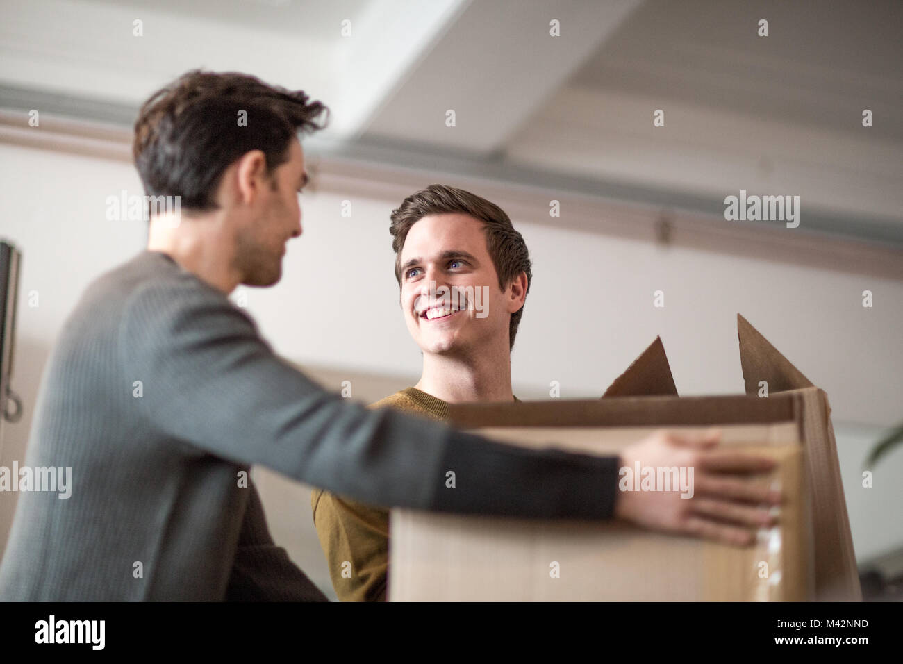 Young male couple moving home Stock Photo
