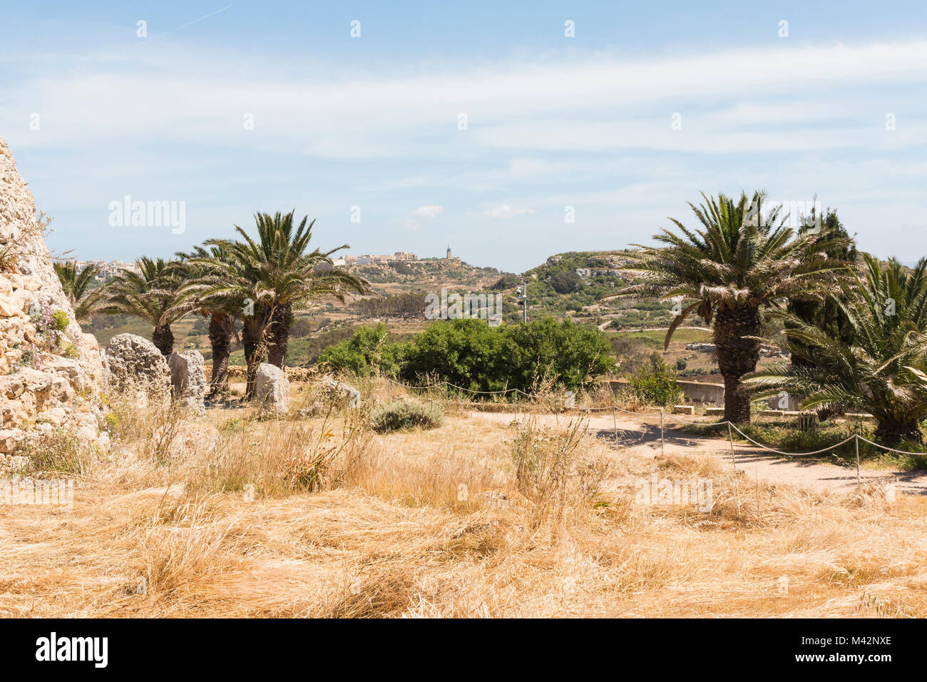 An image showing the palm trees, dried grasses and surrounding countryside, viewed from the temples at  Gozo, Malta Stock Photo