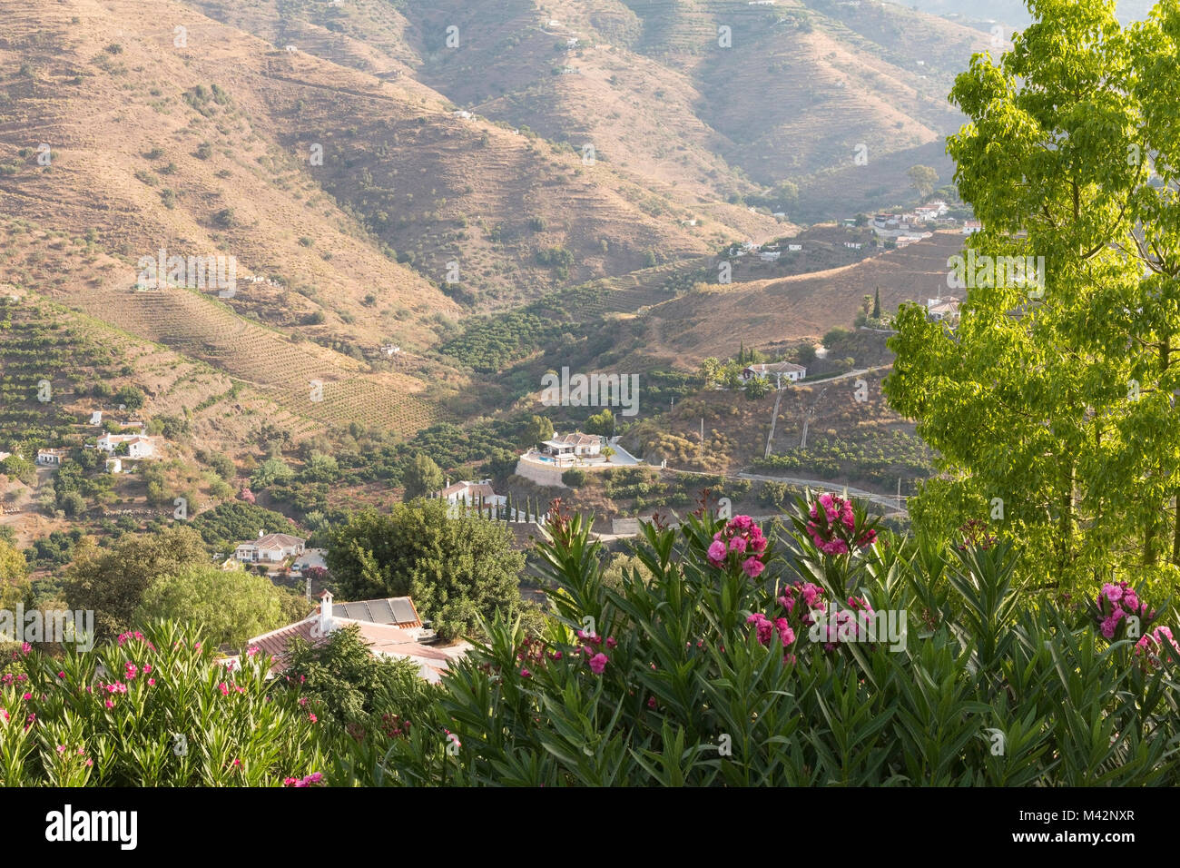 An image looking down into the valley, with the Sierra de Tejeda Range of Mountains in the background, on a hazy morning in Axarquia, Andalusia, Spain Stock Photo