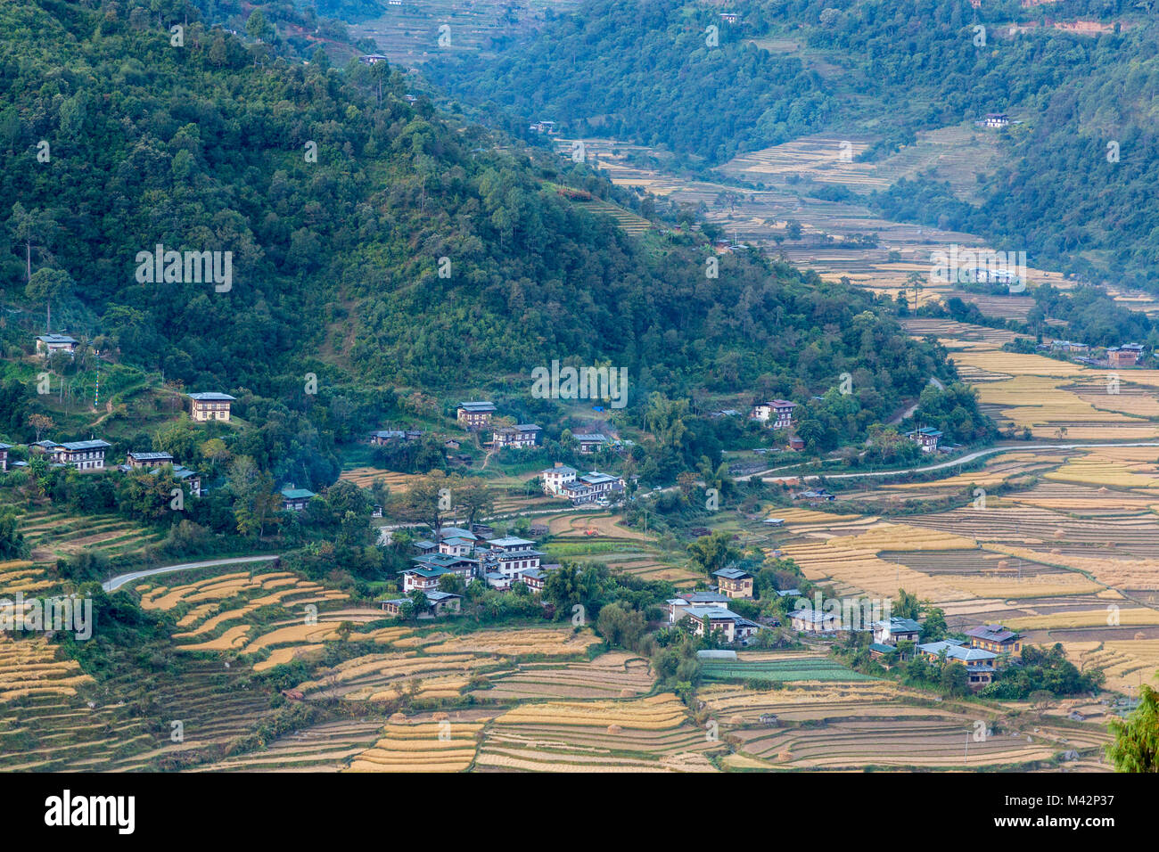 Punakha, Bhutan.  Farms and Rice Terraces in the Mo River Valley. Stock Photo