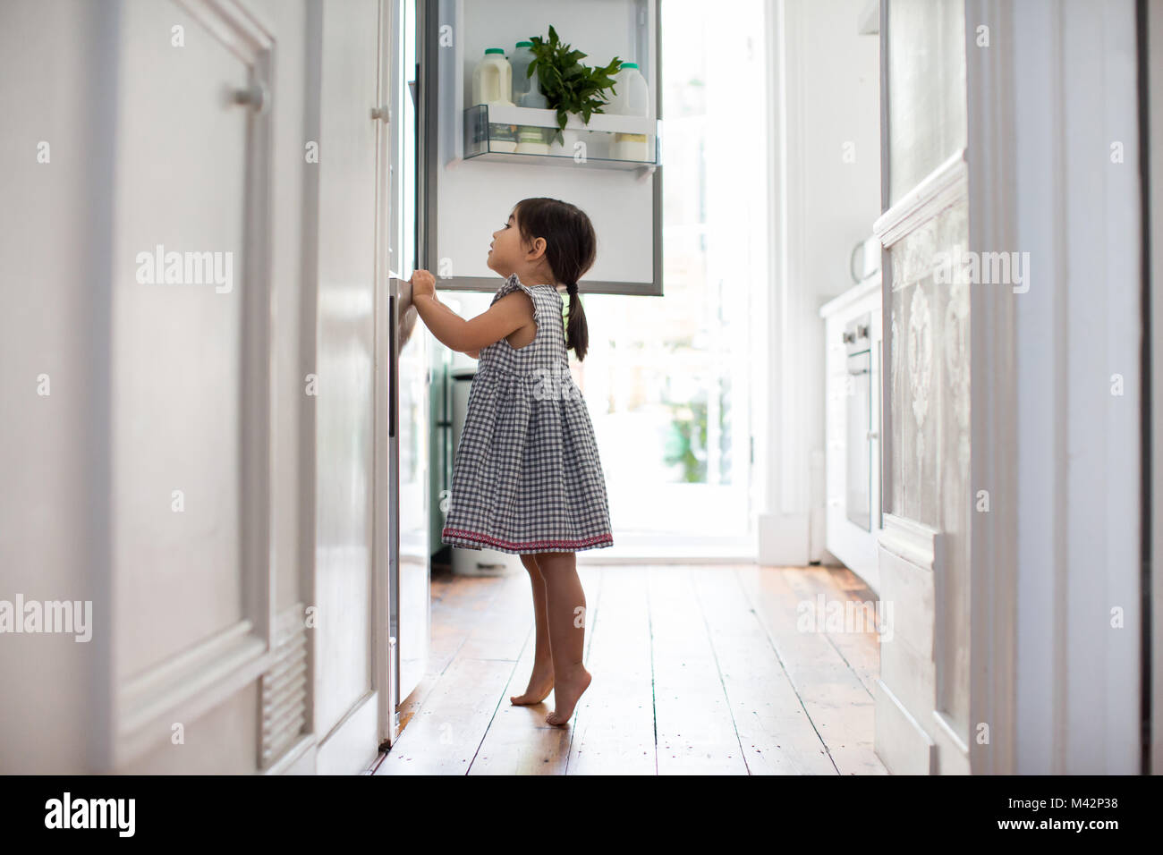 Girl standing on tip toes to look into refrigerator Stock Photo