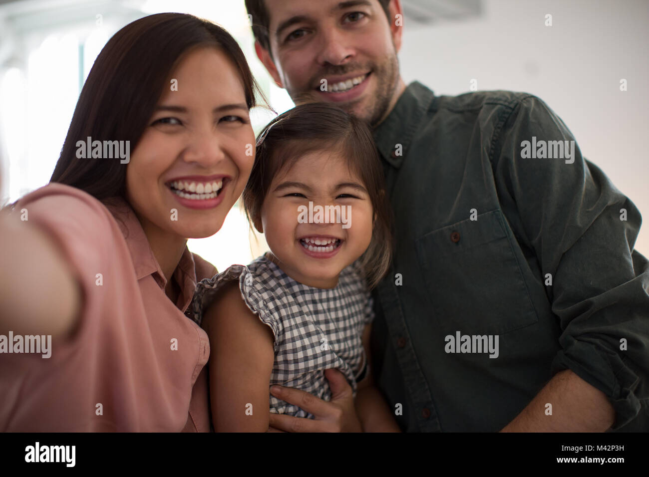 Family on a videocall Stock Photo
