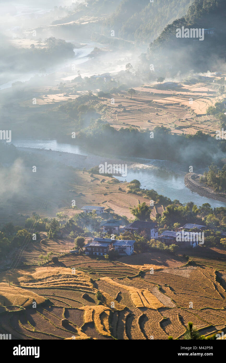 Punakha, Bhutan.  Early Morning Sun Illuminates Rice Fields and Morning Mist in the Mo River Valley. Stock Photo
