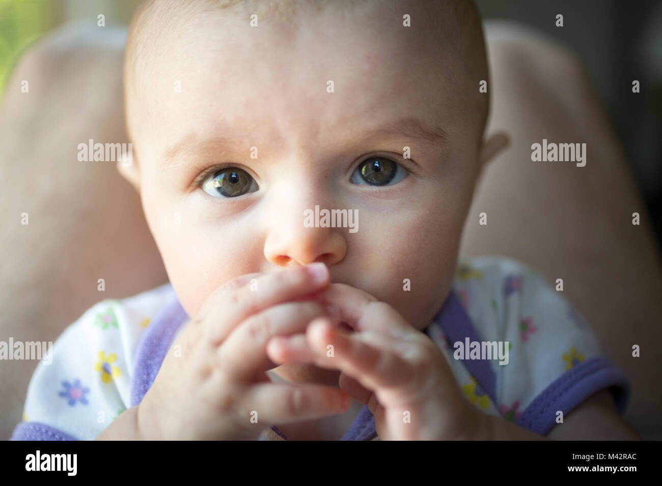 Stares stare hires stock photography and images Alamy