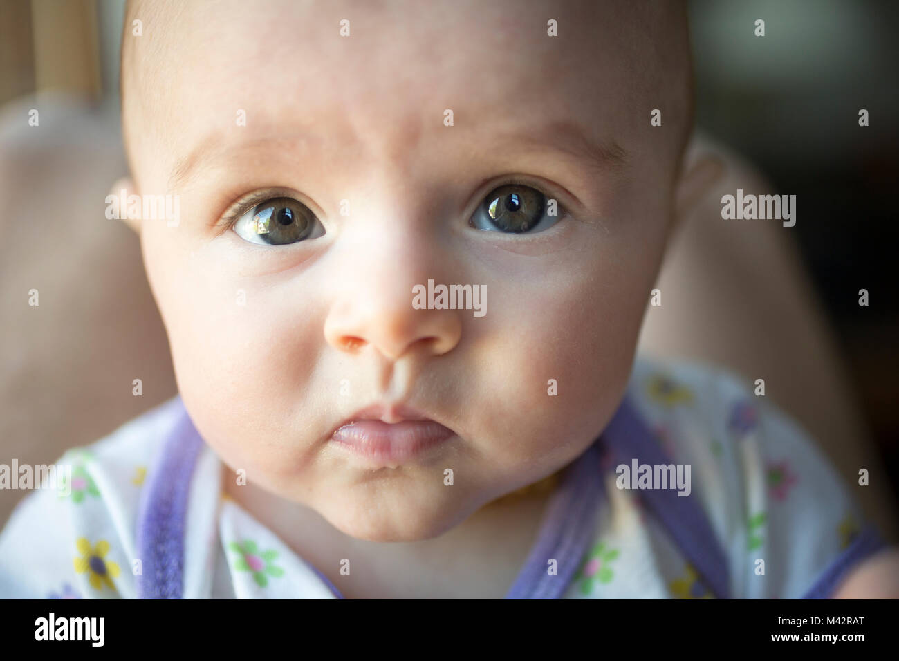 A newborn infant stares deeply with its big eyes. Stock Photo