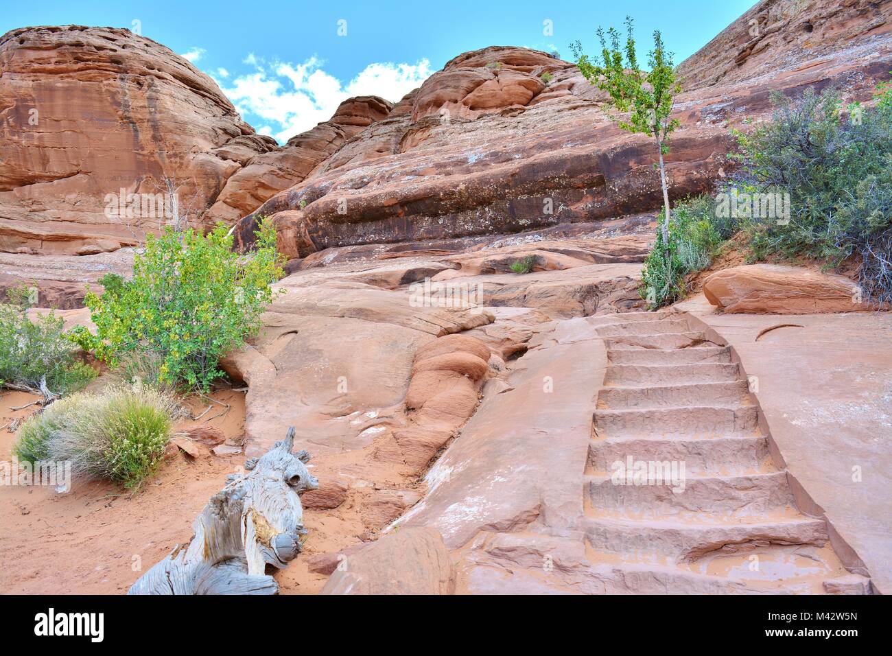 Delicate arch trail hike hi-res stock photography and images - Alamy