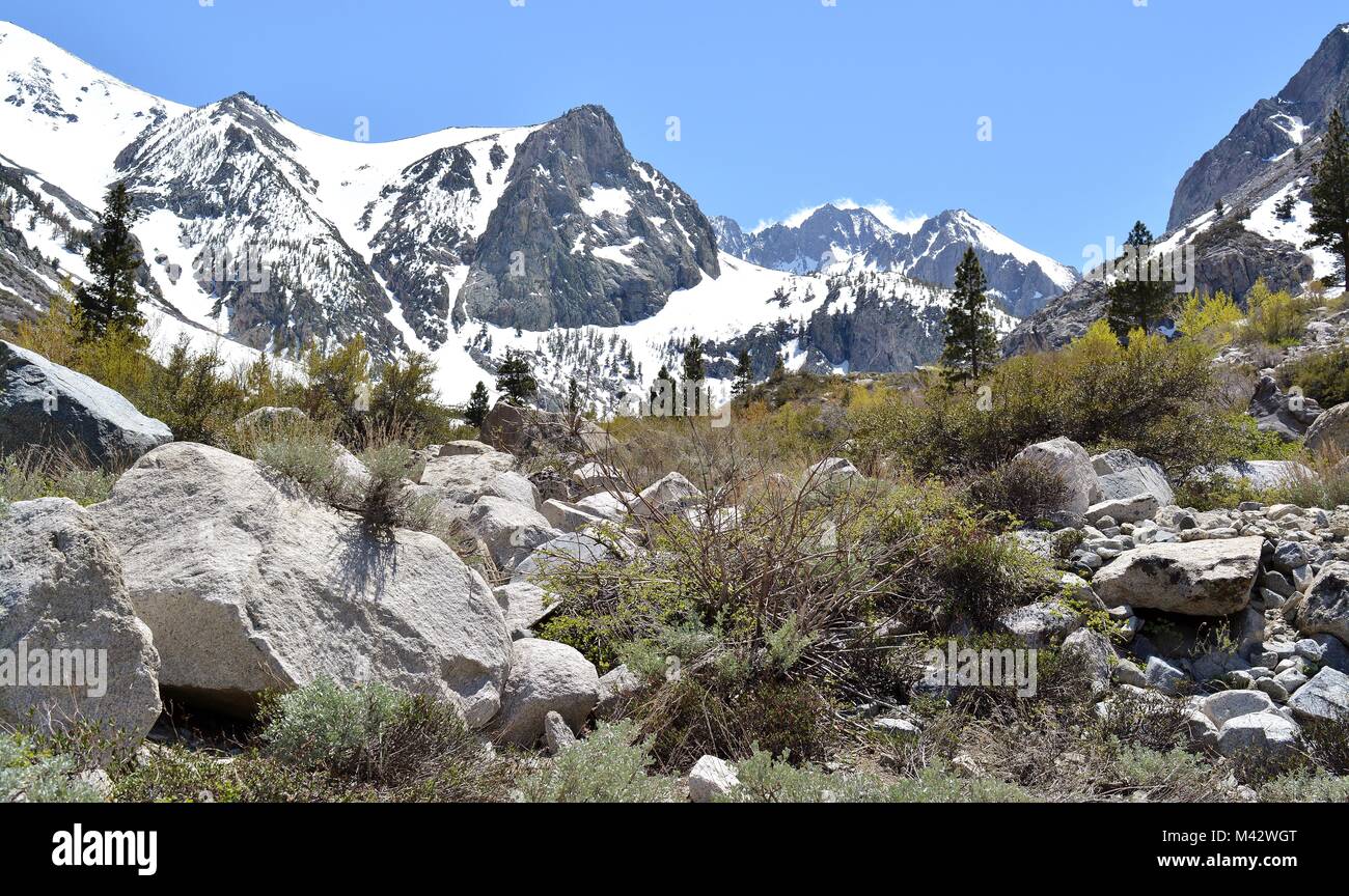Inyo national forest in California Stock Photo
