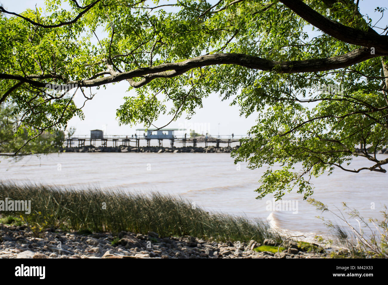 View of Rio de la Plata (River plate) from Costanera Sur Ecological Reserve, Buenos Aires, Argentina Stock Photo
