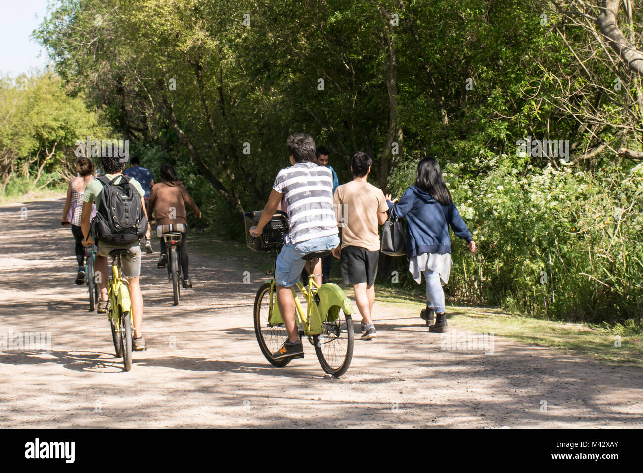 People cycling in Costanera Sur Ecological Reserve, Buenos Aires, Argentina Stock Photo