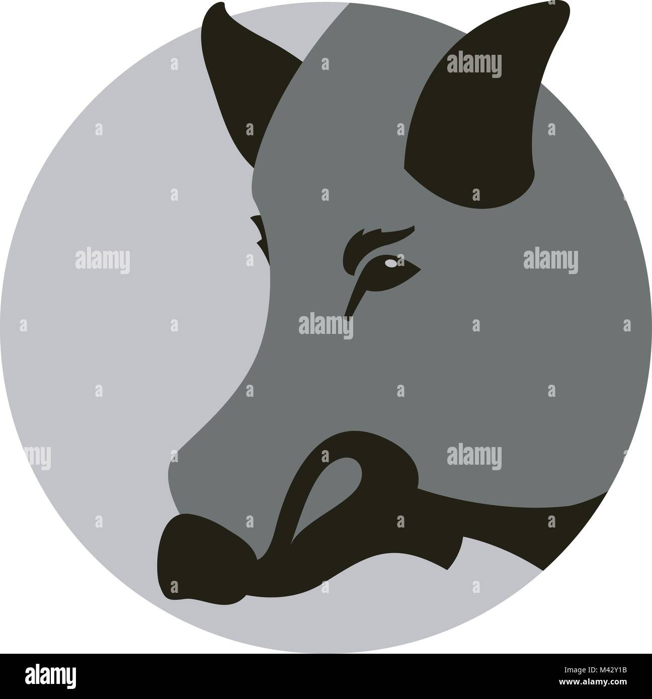 Simple Razorback Face Razorback face hi-res stock photography and images - Alamy