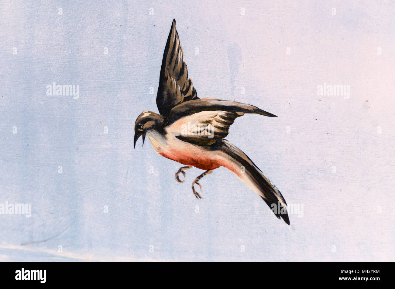 Fresco detail of bird, Getty Villa, Malibu. California Stock Photo