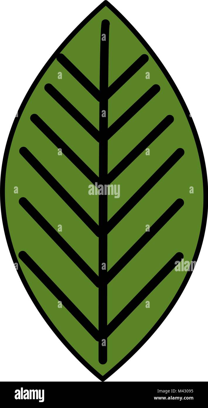 leaf plant isolated icon Stock Vector Image & Art - Alamy