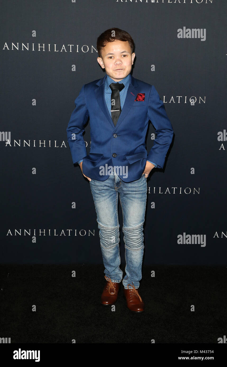 Westwood, Ca. 13th Feb, 2018. Sam Humphrey, at the Los Angeles Premiere Of Annihilation at the Regency Villages Theatre in Westwood, California on February 13, 2018. Credit: Faye Sadou/Media Punch/Alamy Live News Stock Photo