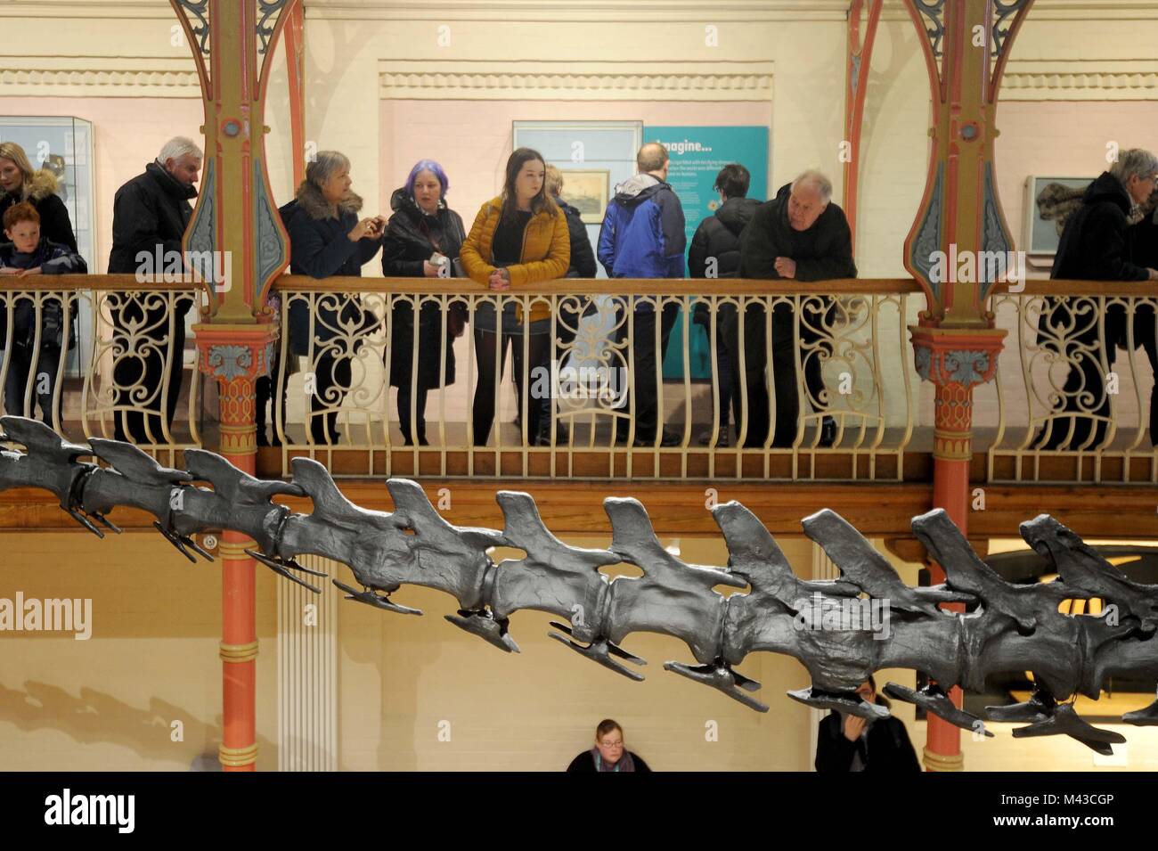 Dorset County Museum, UK. 14th Febraury, 2018. Crowds visit Dippy the Diplodocus on display at Dorset County Museum, UK Credit: Finnbarr Webster/Alamy Live News Stock Photo