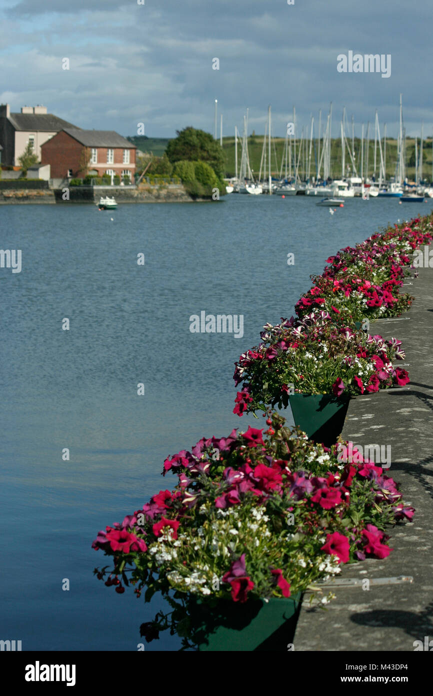 Kinsale main image 1