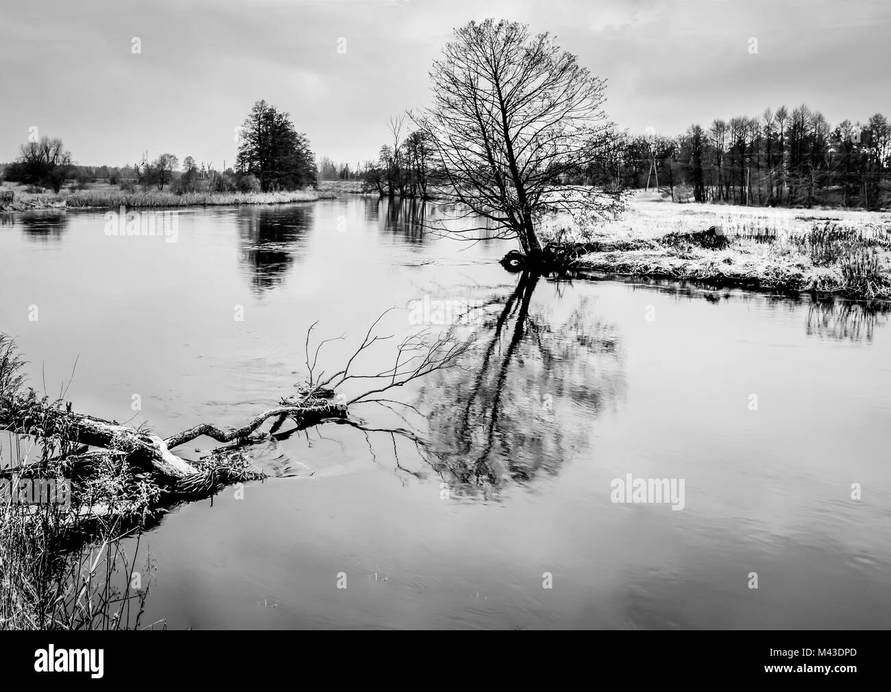 Sunny summer landscape lake Black and White Stock Photos & Images - Alamy